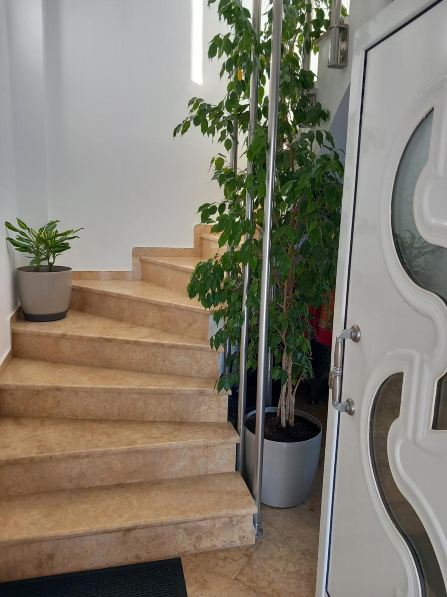 Luxury Apartment Amarynthos Ngoại thất bức ảnh
