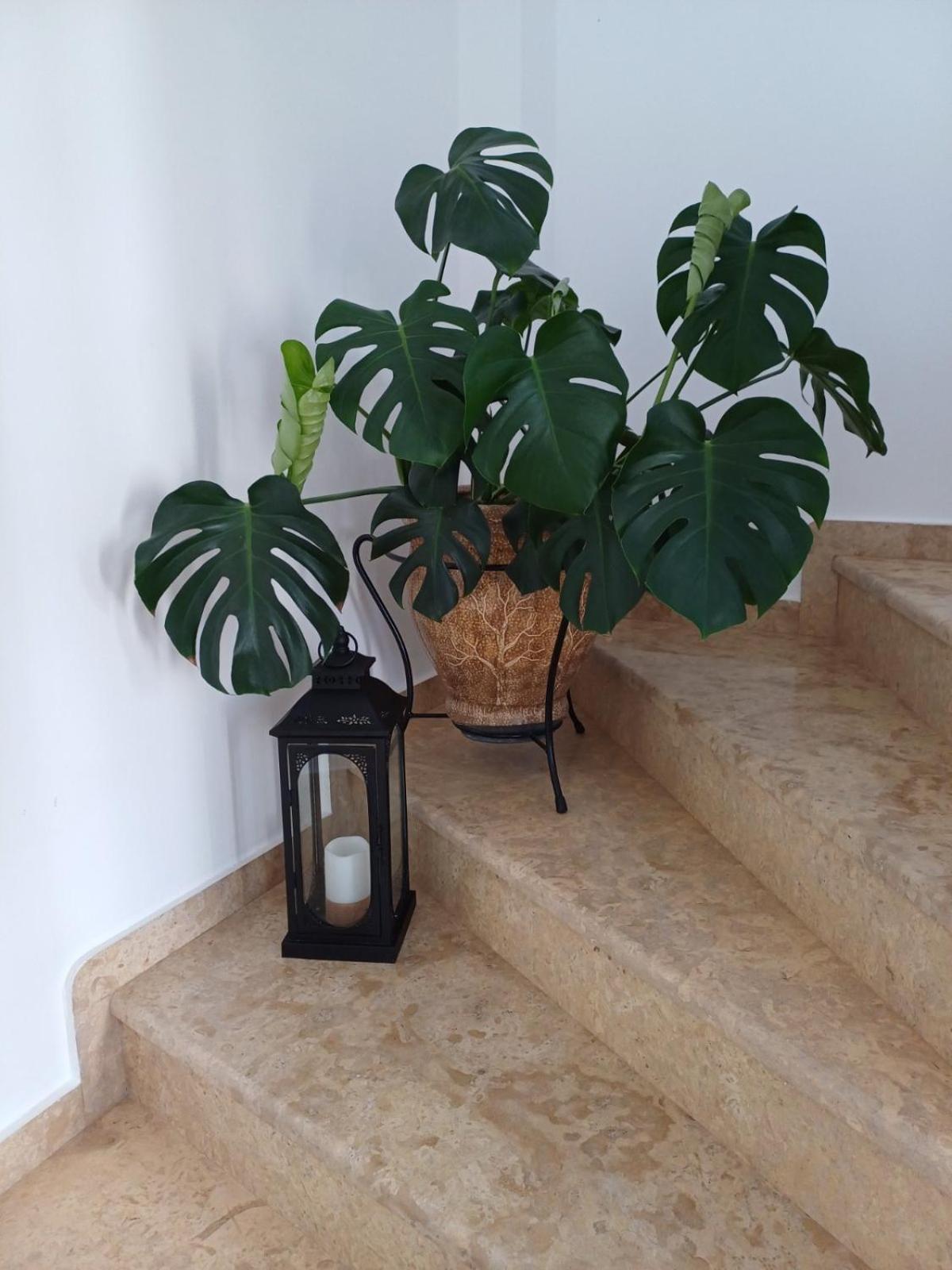Luxury Apartment Amarynthos Ngoại thất bức ảnh