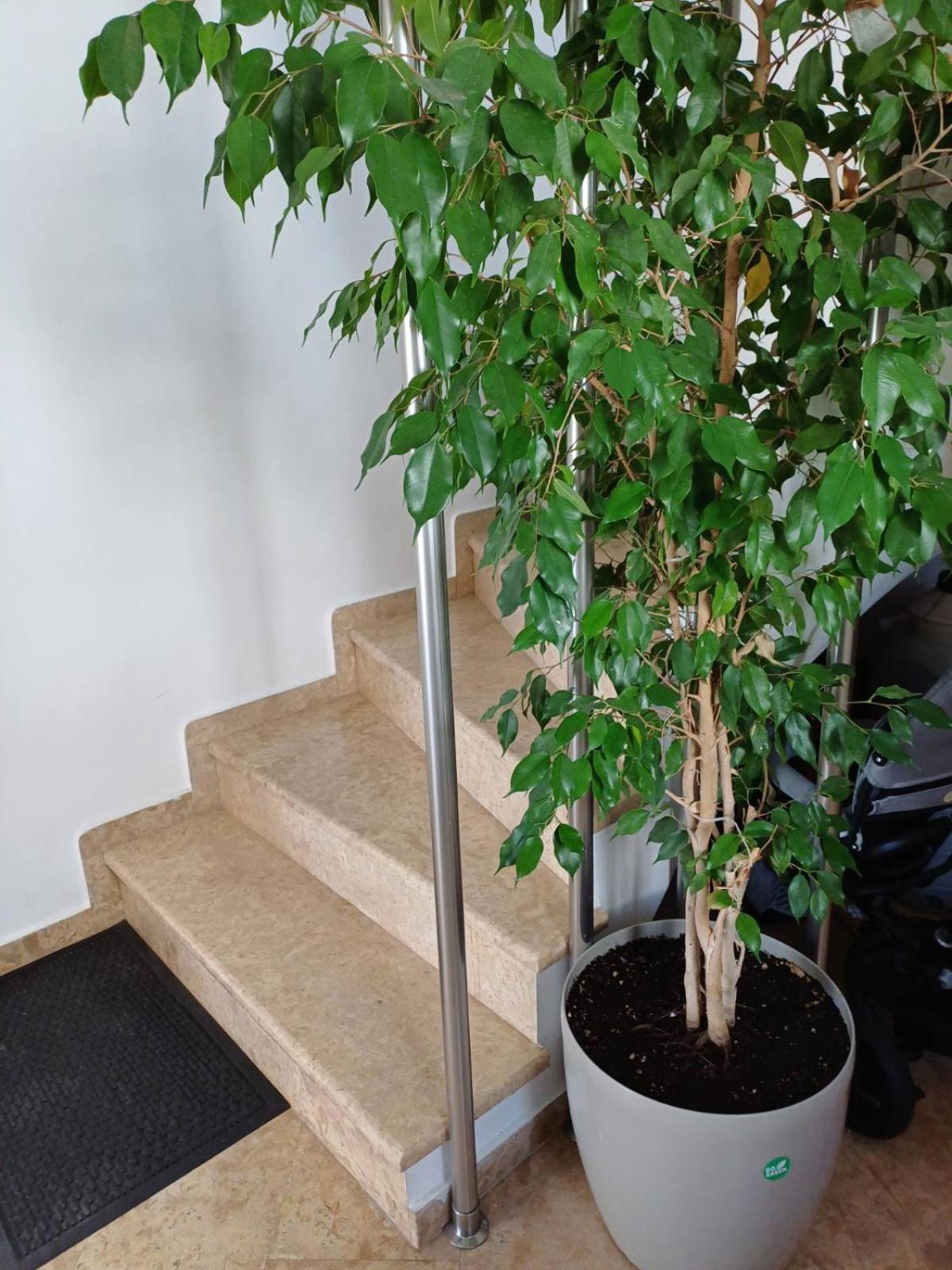 Luxury Apartment Amarynthos Ngoại thất bức ảnh
